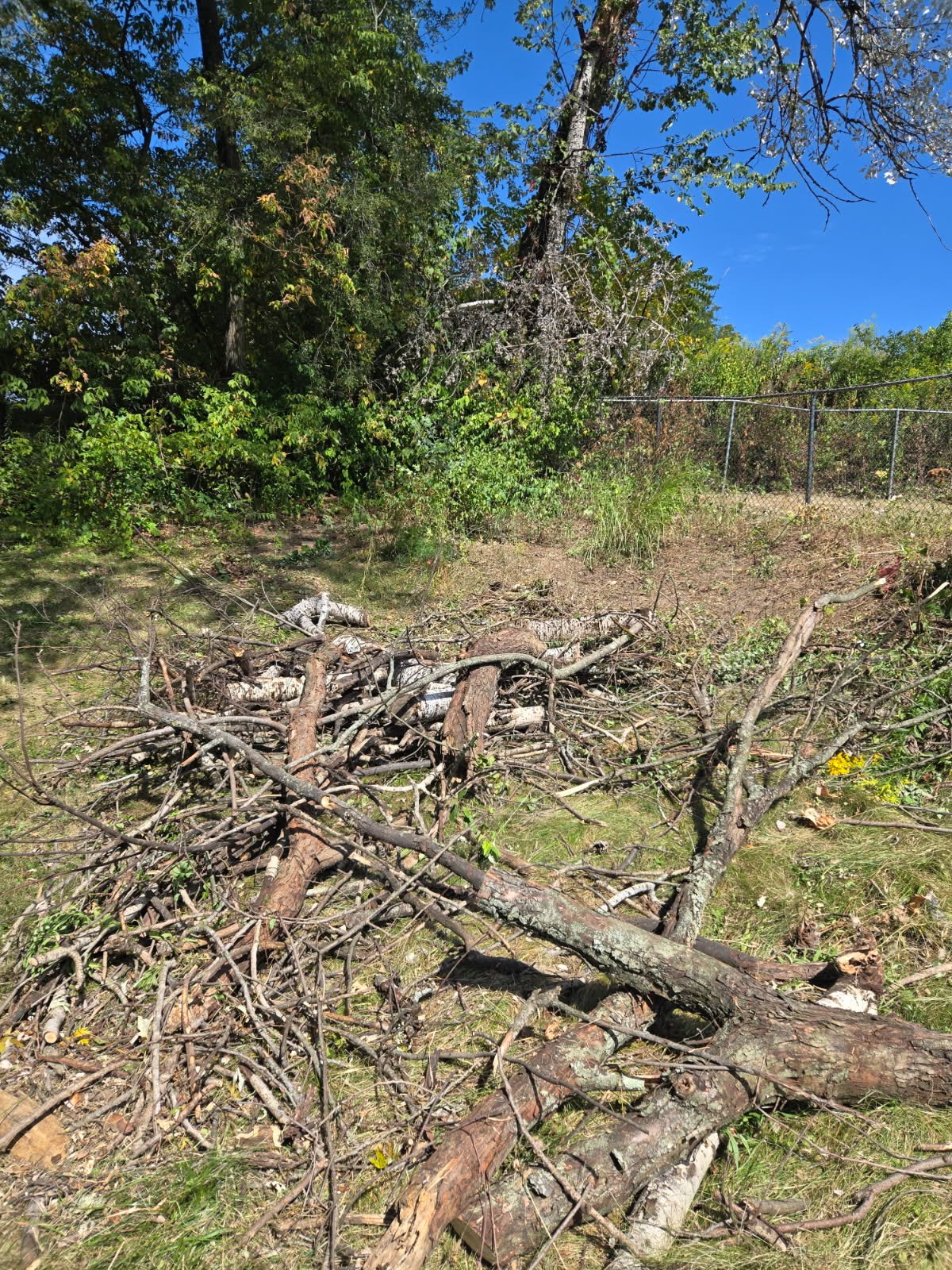 Disaster recovery cleanup and stabilization work